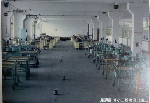 從軍工電機(jī)到特種電機(jī) 上海小三線五洲電機(jī)廠鳳凰涅槃之路